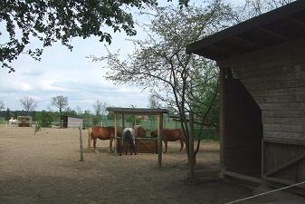 groer Offenstall